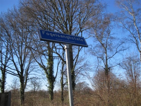 IMG_1460 IMG_1460