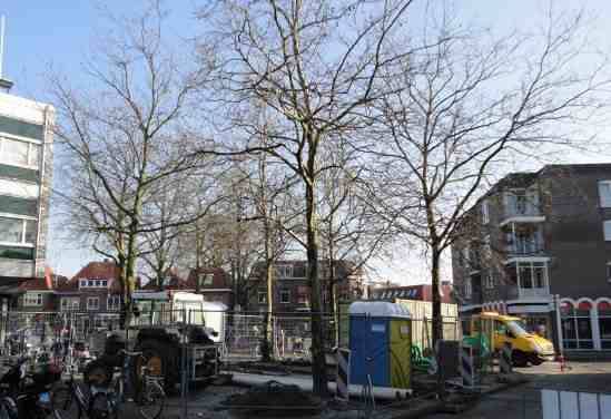 image001 image001
