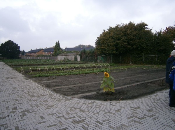 Stadsbezoek Armoedepact Almelo 12-10-2013- 06