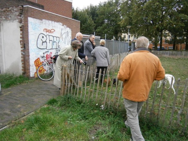 Bloemetje 06