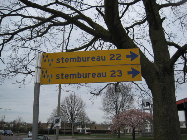 stem
