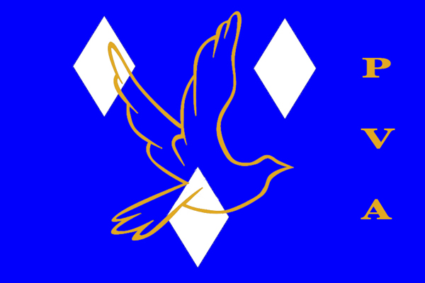 logo pva